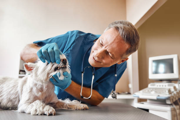Best Weekend Emergency Dentist in Colorado City, TX